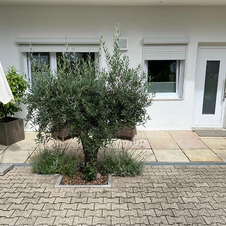 Apartment Am Weinberg Deidesheim Buitenkant foto