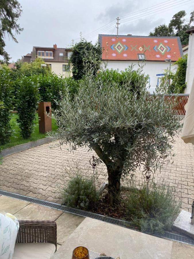 Apartment Am Weinberg Deidesheim Buitenkant foto